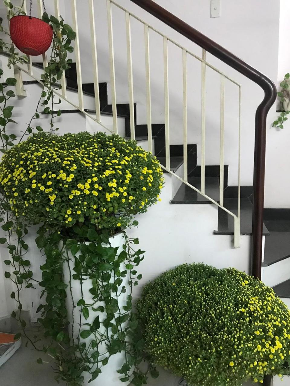 Vanapartment अपार्टमेंट *